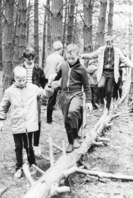 Kinder spielen im Wald
