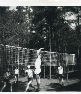 Volleyballnetz Königsheide
