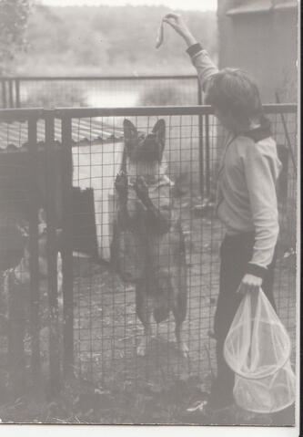 Original Digitales Objekt not accessible