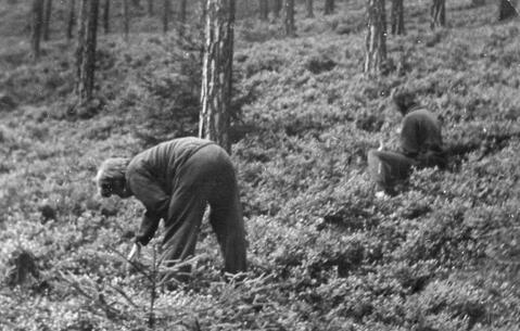 Original Digitales Objekt not accessible