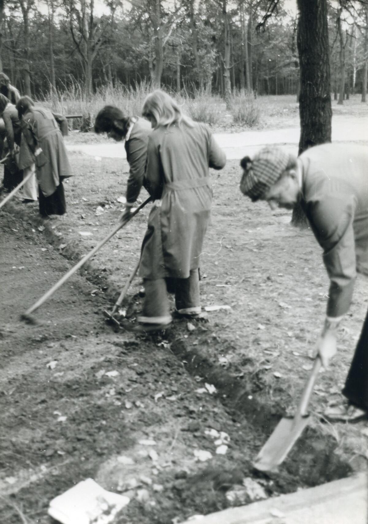 Original Digitales Objekt not accessible