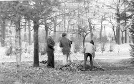 Personen beim Laubharken auf Gelände
