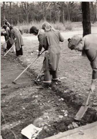 Original Digitales Objekt not accessible