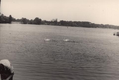 Original Digitales Objekt not accessible