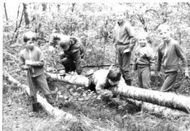 Kinder spielen im Wald